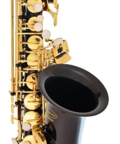 Lazarro Professional Black-Gold Keys Eb E Flat Alto Saxophone Sax, 11 Reeds, Case & Many Extras - 24 COLORS Available - 360-BK BLACK/GOLD Keys 17 61XBecmLgL