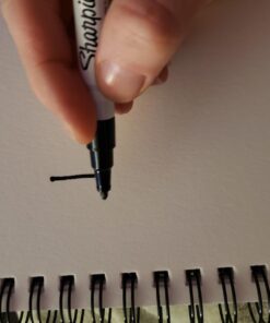 SHARPIE Oil-Based Paint Markers, Fine Point, Assorted Colors, 5 Count - Great for Rock Painting Classic Assorted 5 Count (Pack of 1) Fine Tip 42 61XD9BwvScL