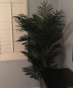 Nearly Natural 5289 6.5ft. Golden Cane Palm Silk Tree,Green 39 61XEdM iFxL