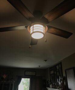 Hunter Fan Company Fan Key Biscayne Indoor/Outdoor Ceiling Fan with 2 LED Lights and Pull Chain Control, Weathered Zinc Finish, 54 Inch 42 61XOAyeylL