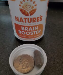 Natures Wellness Brain Booster | Natural Cognitive Enhancer for Increased Focus, Memory and Mental Clarity | Nootropics Brain Supplement | DMAE, Rhodiola Rosea Extract, Bacopa Monnieri, Ginkgo Biloba 20 61XP1LgHn9L