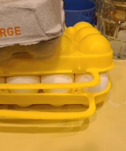 Coghlan's Egg Holder 12 Eggs 45 61XShNZTCsL