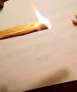 Luna Sundara Organic Wild Harvested Palo Santo Smudging Sticks from Ecuador Select High Resin Natural Incense Sticks Sustainable Packaging 8 Aromatic Sticks for Peace and Tranquility Bursera Graveolens Wood 34 61XXtNjkkL