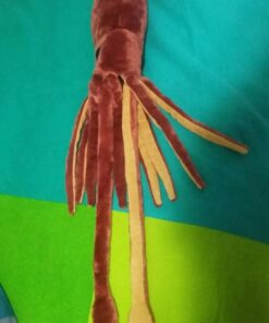 Wild Republic Giant Squid Plush, Stuffed Animal, Plush Toy, Ocean Animals, 22 inches, Red (83198) 25 61Xf9D6QVQL