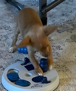 TRIXIE Flip Board Strategy Game, Intermediate Dog Puzzle Toy, Level 2 Activity, Treat Puzzle, Interactive Play, Enrichment Level 2 (Intermediate) 32 61Xmhy8FjNL