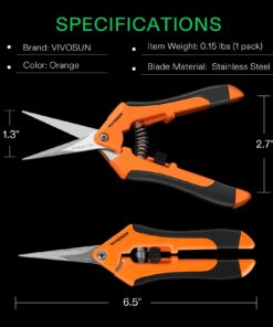 VIVOSUN 6.5 Inch Gardening Scissors Hand Pruner Pruning Shear with Straight Stainless Steel Blades Orange 1-Pack Straight Blade 27 61Xr1 aSdIL