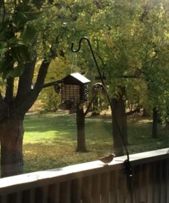 More Birds Double Suet Cage Bird Feeder with Metal Roof, Fruit and Suet Feeder, 2 Suet Cake Capacity Brown Double Cage 39 61Y0Fp5HQAL