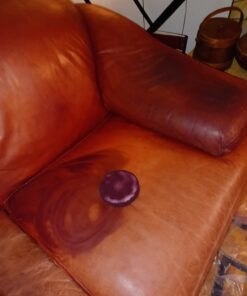 Furniture Clinic Leather Complete Restoration Kit | Includes Leather Recoloring Balm, Leather Cleaner, Protection Cream, Sponge & Cloth | Restores & Repairs (Bordeaux) Complete Kit Bordeaux 21 61Y2iYp7onL