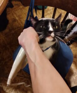 HoMedics Percussion Action Massager with Heat | Adjustable Intensity , Dual Pivoting Heads | 2 Sets Interchangeable Nodes , Heated Muscle Kneading for Back , Shoulders , Feet , Legs , & Neck Beige 33 61Y3Fa6LIL