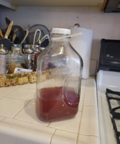 The Dairy Shoppe Heavy Glass Milk Bottles - Jugs with Lids and Silicone Pour Spouts - Clear Milk Containers for Fridge - Reusable Glass Milk Jug Dispenser - Made in USA (64 oz, 2 Pack) 64 oz 39 61Y67BnlSTL