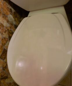 Mayfair 830NISL 000 Toilet Seat, 1 Pack-ROUND, White-Brushed Nickel Hinges 1 Pack - ROUND White - Brushed Nickel Hinges 38 61Y7J1SxFjL