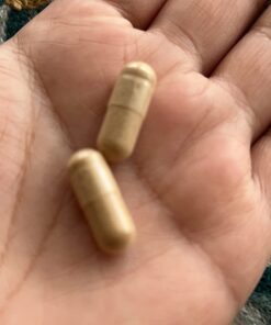 Garden of Life Multivitamin for Women, Vitamin Code Women's Multi, Whole Food Womens Multi, Vitamins, Iron, Folate not Folic Acid & Probiotics for Womens Energy, Vegetarian Supplements, 120 Capsules 120 Count (Pack of 1) 38 61Y9z8knFCL