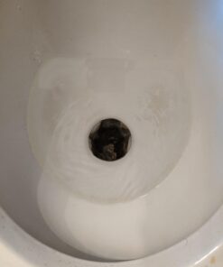 Milliard Citric Acid 5 Pound - 100% Pure Food Grade Non-GMO Project Verified (5 Pound) 38 61YAJy2PVjL