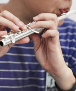 Eastar Piccolo Instrument for Beginners Students, Key of C Piccolo Flute, with Hard Case, Cleaning Rod, Cloth, Swab and Gloves, 2-Piece, Nickel Plated Piccolo, EPC-1 23 61YBH4RmBeL