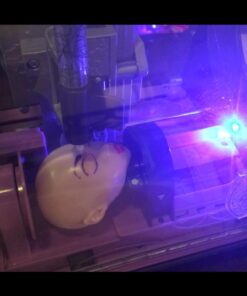 Monster High Monster Maker 38 61YIUYPpeBL