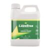 Grass Paint Concentrate (500-1,000 sq ft) - for Dormant, Patchy or Faded Lawn - Lush Green Turf Colorant (32 fl oz) 5 61YIbP6emDS