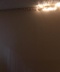 Everglow 2980-22 100 Clear White Wire Light Set Indoor String Lights 31 61YJa6amq4L