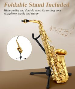 Eastar AS-Ⅱ Student Alto Saxophone E Flat Gold Lacquer Alto Beginner Sax Full Kit With Carrying Sax Case Mouthpiece Straps Reeds Stand Golden 27 61YLBirMIhL
