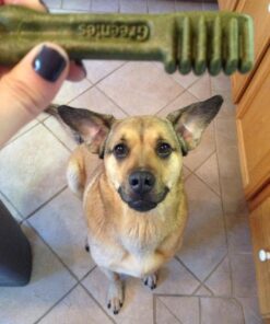 GREENIES Original Petite Natural Dog Dental Care Chews Oral Health Dog Treats, 36 oz. Pack (60 Treats) Petite Size (15-25 lb Dog) 60 Count (Pack of 1) 46 61YQkPCUr4L