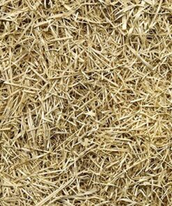 EZ Straw Seeding Mulch with Tack - Biodegradable Organic Processed Straw – 2.5 CU FT Bale (Covers up to 500 sq. ft.), Multi 29 61YSNQ0gVIL