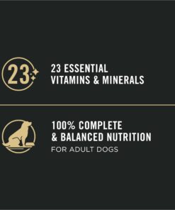 Purina Pro Plan Sensitive Skin and Stomach Dog Food Pate, Sensitive Skin and Stomach Salmon and Rice Entree - 13 oz. Can Salmon & Rice - Wet Dog Food (12) 13 oz. Cans 29 61YTH97gdpL 1