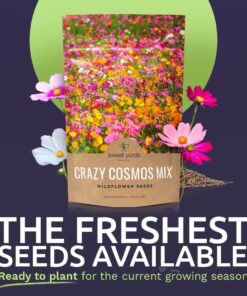 Cosmos Seeds Wildflower Mixture - Bulk Quarter Pound Bag - Over 20,000 Seeds - Pink, Yellow, Orange, Red, Purple and White Mixed Species! 1/4 Pound Bag 18 61YUL6y5p8L
