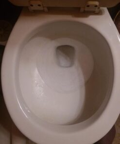 Sheffield 1126 Porcelain Touch-Up White,1 fl oz 34 61YibKS81HL