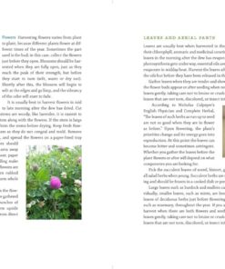 The Modern Herbal Dispensatory: A Medicine-Making Guide 39 61Yo 1BWxLL