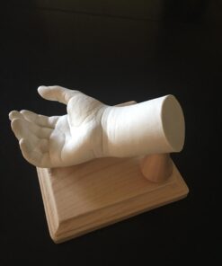 Alginate Molding Powder for Hand Casting Kit & Multi-Use Projects - 3 lb Casting Plaster Material - Family Keepsakes- Create-a-Mold by Luna Bean Alginate 27 61Yoj2b8jFL