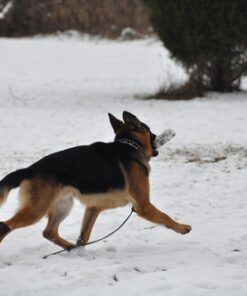 AF-S DX Nkr 18-200mm F/3.5-5.6G ED VR II Lens Only 54 61YsfR1d4ML