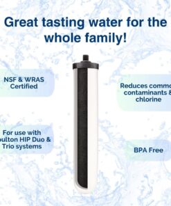 DOULTON-w9123053 10-Inch UltraCarb Ceramic Filter Candle 8 61YtztFyeoL