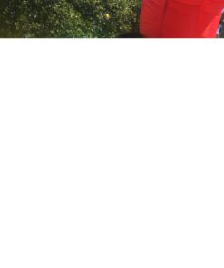 Little Tikes Jump and Double Slide Bouncer, 168.00 L x 108.00 W x 84.00 H Inches , White 31 61YuQKz5rsL