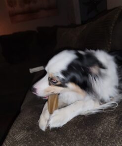 PURINA Busy Made in USA Facilities Small/Medium Dog Bones, Original - 10 ct. Pouch 10 Count (Pack of 1) 29 61Yxz2rMWL