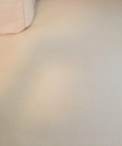 Blue Coral DC22 Upholstery Cleaner Dri-Clean Plus with Odor Eliminator, 22.8 oz. Aerosol 63 61Z8HUtTaLL