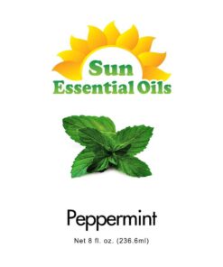 Sun Essential Oils 8oz - Peppermint Essential Oil - 8 Fluid Ounces 8 Fl Oz (Pack of 1) 16 61ZCa086gfL