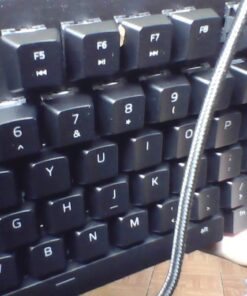 Razer BlackWidow Lite TKL Tenkeyless Mechanical Keyboard : Orange Key Switches - Tactile & Silent - White Individual Key Lighting - Compact Design - Detachable Cable - Classic Black Orange Switches - Tactile & Silent 50 61ZCvRfsUaL