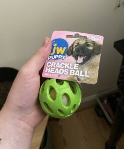 JW Pet Crackle Heads Crackle Ball, Small 28 61ZD66CW1yL