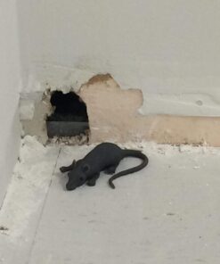 Mouse Lifelike Rubber Gag 14 61ZGoLRHyXL