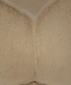 RMR-86 Instant Mold Stain and Mildew Stain Remover Spray - Scrub Free Formula, 32 Fl Oz 32 Fl Oz (Pack of 1) 38 61ZH9seimJL