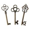 LURLIN Mixed Set of 30 Large Skeleton Keys with Antique Style Bronze Brass Skeleton Castle Dungeon Pirate Keys for Birthday Party Favors, Mini Treasure Toy Gifts, Medieval Middle Ages Theme 13 61ZRf9sY0FL