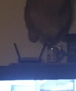 NETGEAR WiFi Router (R6080) - AC1000 Dual Band Wireless Speed (up to 1000 Mbps) | Up to 1000 sq ft Coverage & 15 devices | 4 x 10/100 Fast Ethernet ports AC1000 WiFi 24 61ZSFTGUHDL