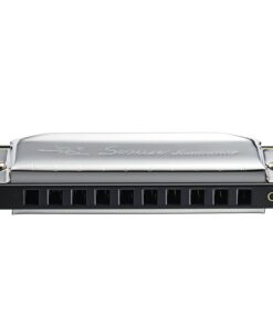 Swan 10 Hole 20 Tones Harmonica Key of C Blues,Mini Harmonica for Beginners 1020 Key of C Silvery 13 61ZeshJoWrL