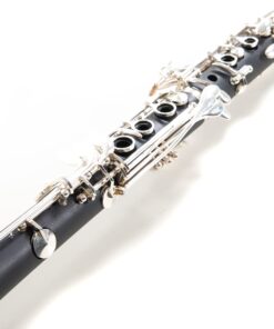 Roy Benson MOD.CB-318 BB Clarinet Boehm System and ABS Body with Case CB-318 12 61ZiVTEK0FL