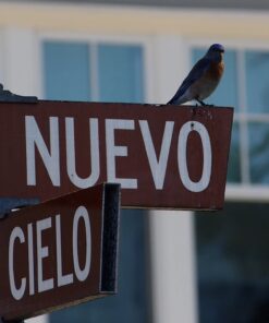 OM SYSTEM OLYMPUS M.Zuiko Digital 40-150mm F4.0-5.6 R Black For Micro Four Thirds System Camera, 3.75x Zoom Lens, Portable Design Standard Packaging 86 61ZnSse539L