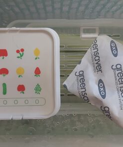 OXO Good Grips GreenSaver Produce Keeper - Large,White 60 61ZuQvXSAJL