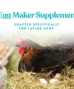 Manna Pro Omega Egg Maker - Chicken Feed Supplement for Laying Hens - Poultry Food with Omega-3 Fatty Acids - Digestion Support with Fortified Vitamins & Minerals - 5 lbs 14 61ZwQ5SLRRL