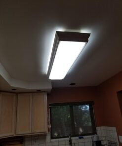 Sunco 10 Pack T8 LED 4FT Tube Light Bulbs Ballast Bypass Fluorescent Replacement 5000K Daylight 18W Frosted Cover Retrofit Single Ended Power (SEP) Commercial Grade - UL 10 Count (Pack of 1) 49 61ZxXyIzg7L