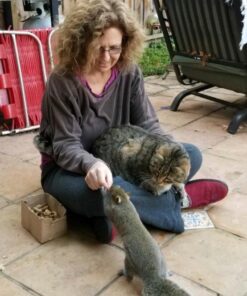 Wakefield Extra Large Virginia Peanuts for Animals, 25 LBS Peanut 25 Pound (Pack of 1) 34 61ZySia792L