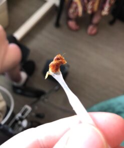 Clinere® Ear Cleaners, 10 Count Earwax Remover Tool Safely and Gently Cleaning Ear Canal at Home, Ear Wax Cleaner Tool, Itch Relief, Ear Wax Buildup, Works Instantly, Exfolimates, Earwax Cleaners. 10 Count (Pack of 1) White 48 61a56zc1rSL