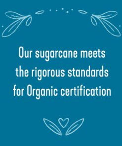 Wholesome Sweeteners, Granulated Amber Sugar, 1.5 lb Organic Turbinado Sugar 1.5 Pound (Pack of 1) 13 61a7FsiBcoL